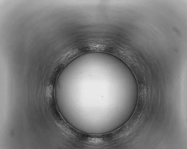 X0000115140649200911101708