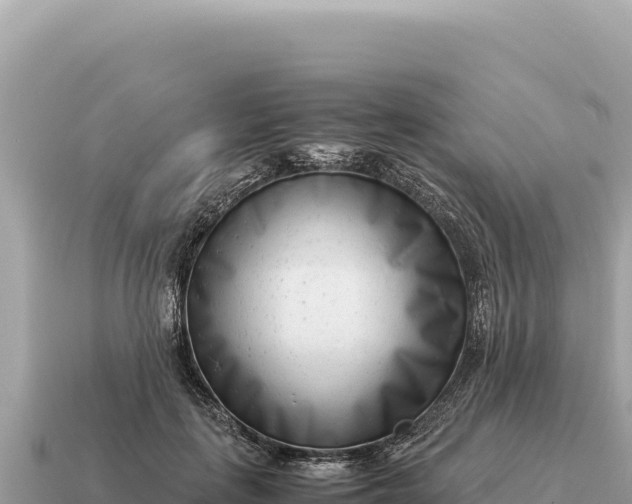 X0000115140651200911101708