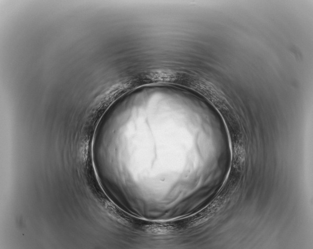 X0000115140652200911101708
