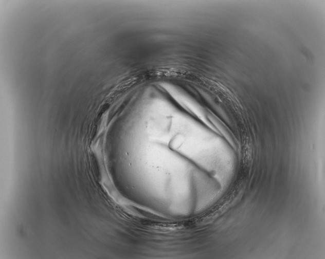 X0000115140661200911101708