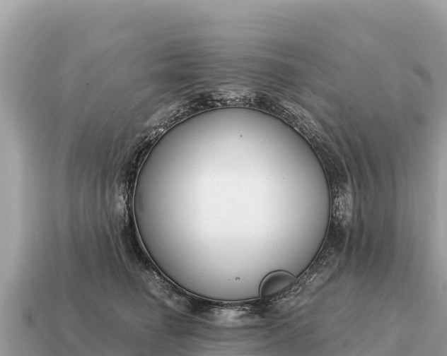 X0000115140662200911101708