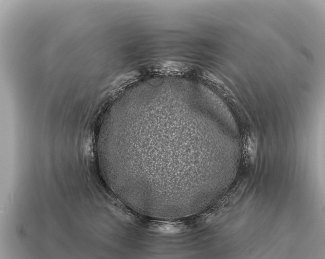 X0000115140663200911101708