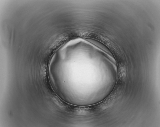 X0000115140664200911101708