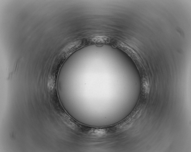 X0000115140665200911101708