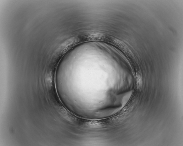 X0000115140668200911101708