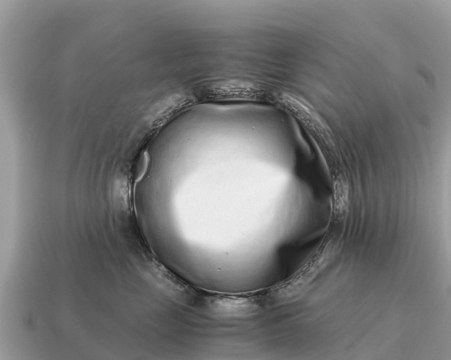 X0000115140669200911101709