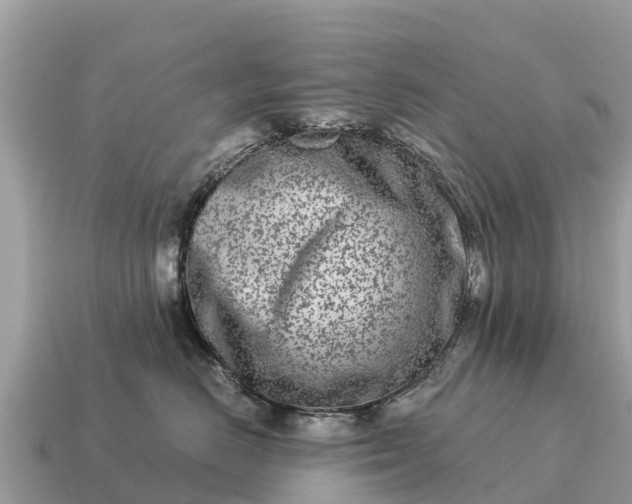 X0000115140670200911101709