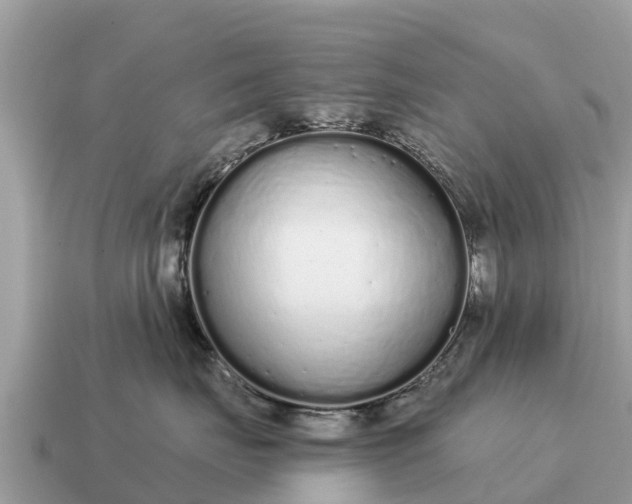 X0000115140671200911101709