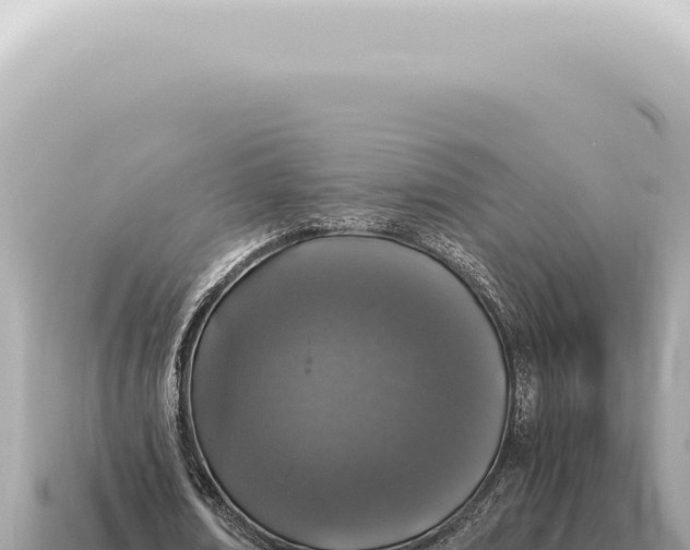 X0000115140674200911101708
