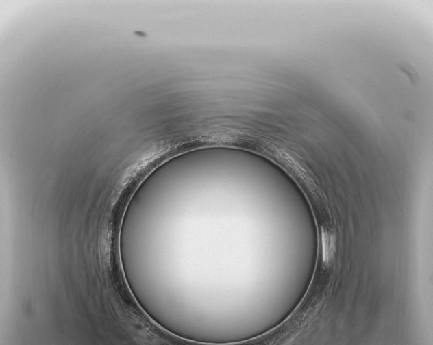X0000115140675200911101708
