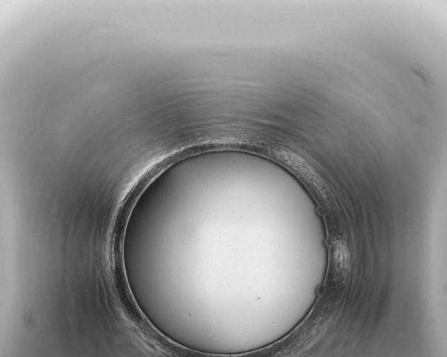 X0000115140676200911101708