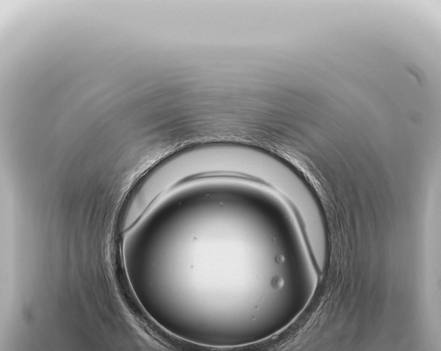 X0000115140677200911101708