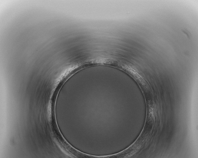 X0000115140678200911101708