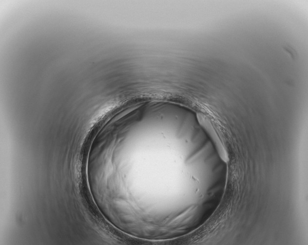 X0000115140679200911101708