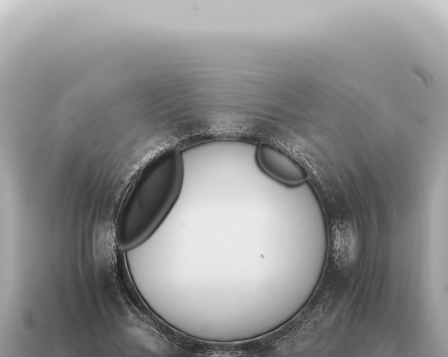 X0000115140684200911101708