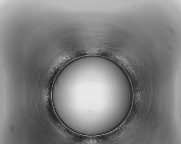 X0000115140687200911101708