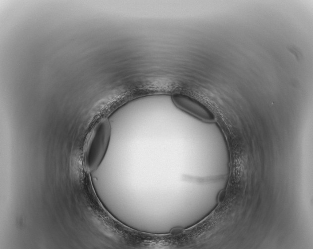 X0000115140688200911101708