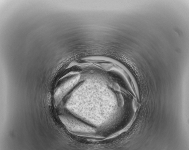 X0000115140689200911101708