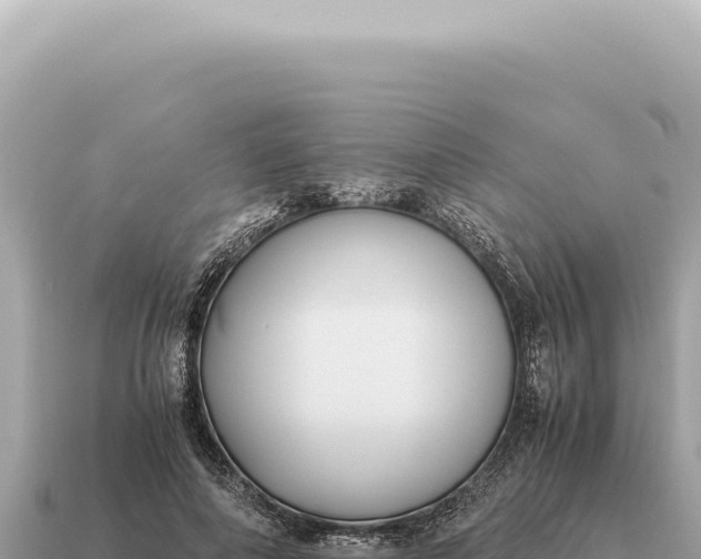 X0000115140690200911101708