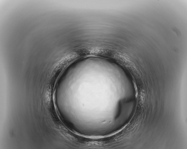 X0000115140691200911101708