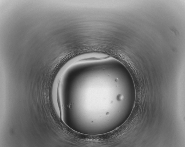 X0000115140693200911101708