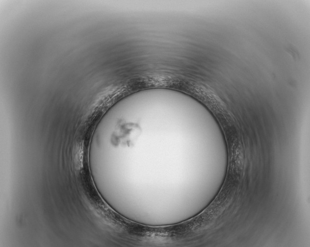 X0000115140694200911101708