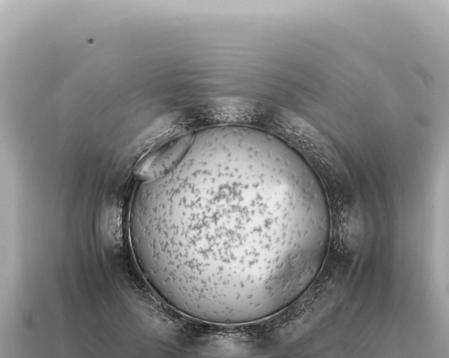 X0000115140696200911101708