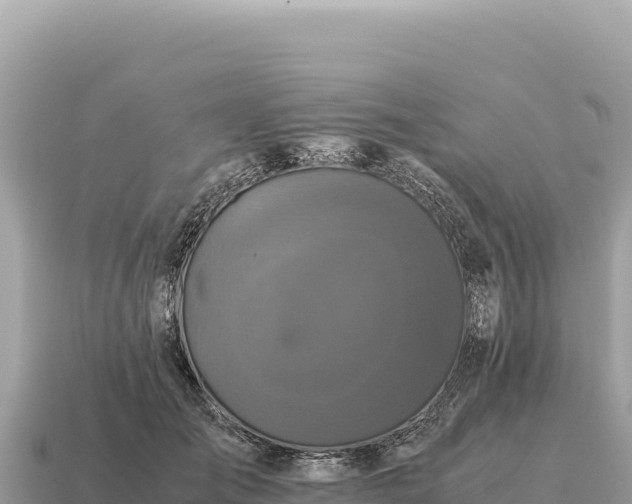 X0000115140701200911101708