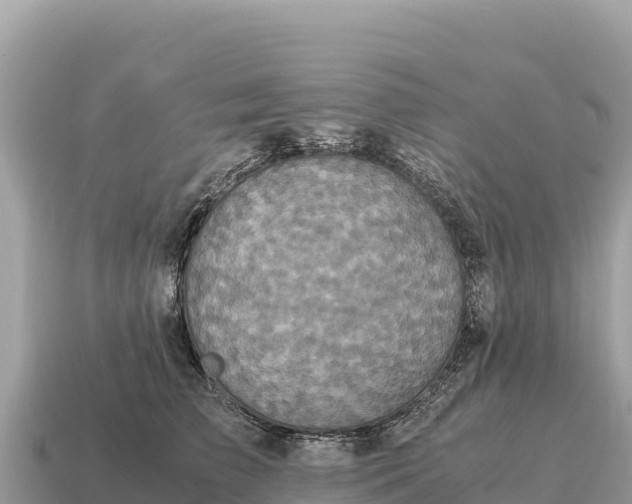 X0000115140709200911101707