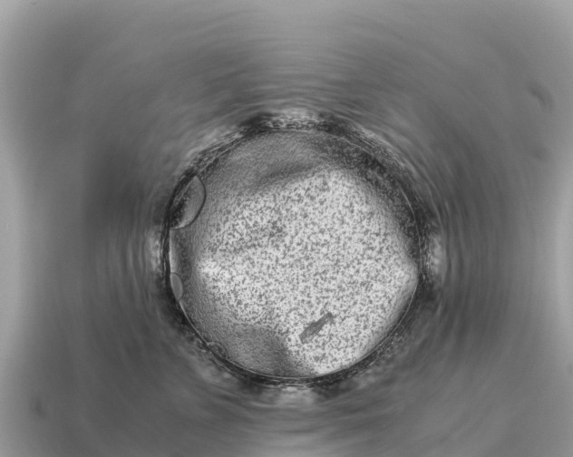 X0000115140715200911101707