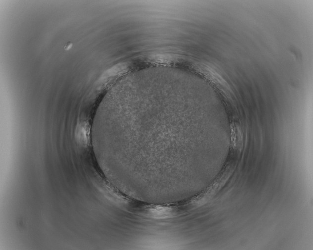 X0000115140718200911101707