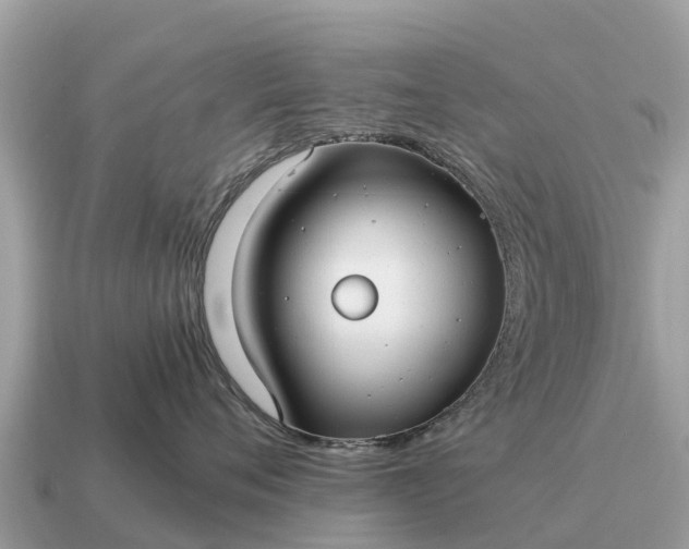X0000115140720200911101707