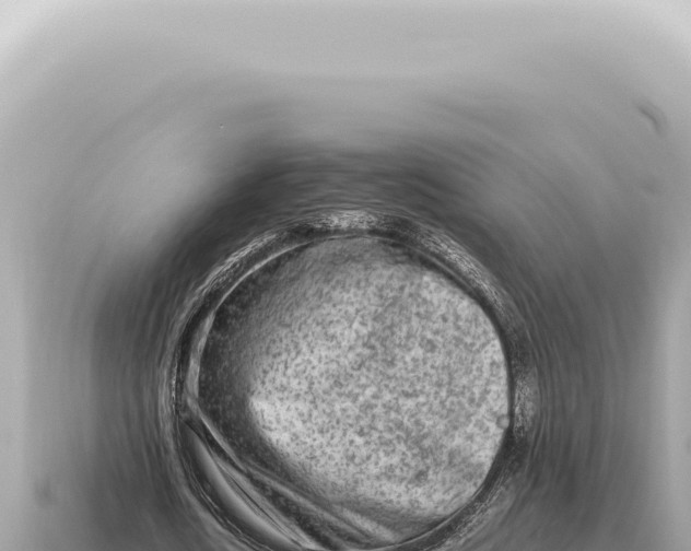 X0000115140722200911101707