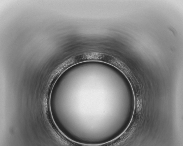 X0000115140725200911101707