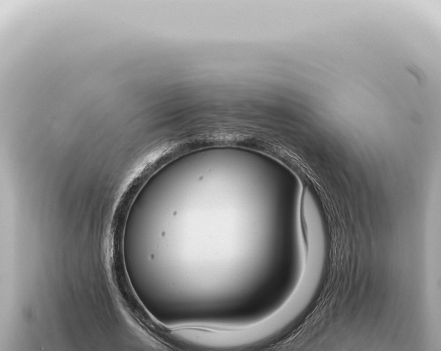 X0000115140726200911101707