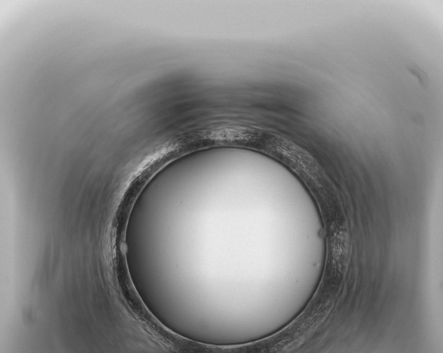 X0000115140727200911101707