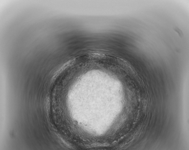 X0000115140729200911101707
