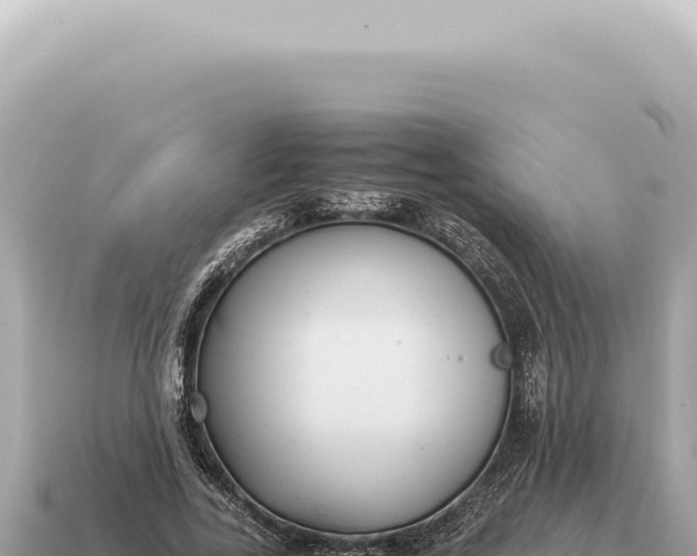 X0000115140731200911101707