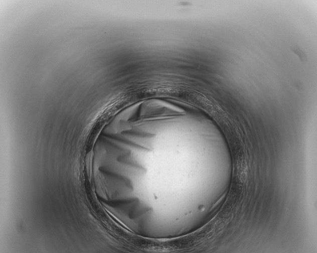 X0000115140735200911101707