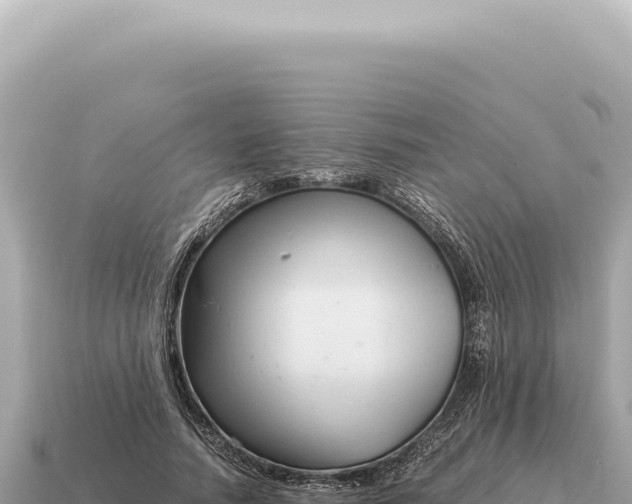 X0000115140738200911101707
