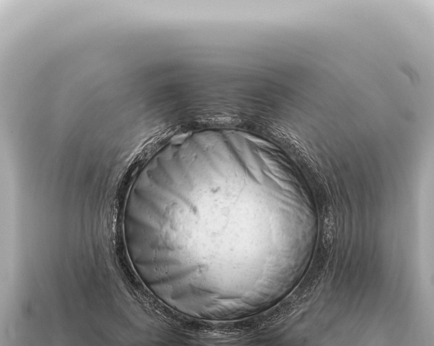 X0000115140739200911101707