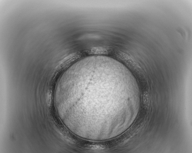 X0000115140741200911101707