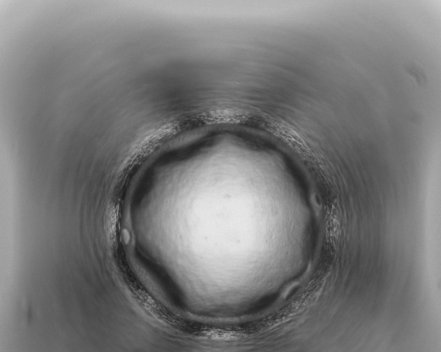 X0000115140742200911101707