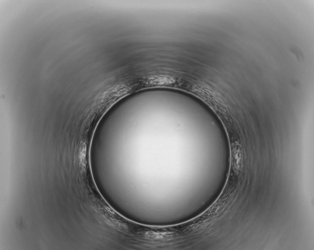 X0000115140745200911101707
