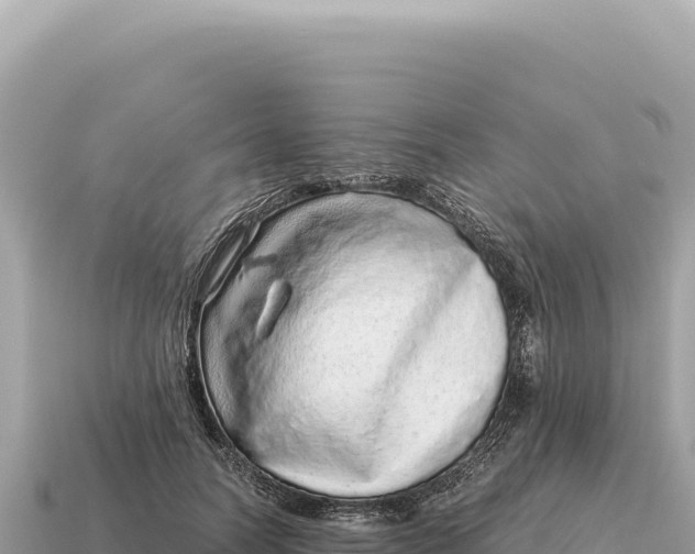X0000115140746200911101707