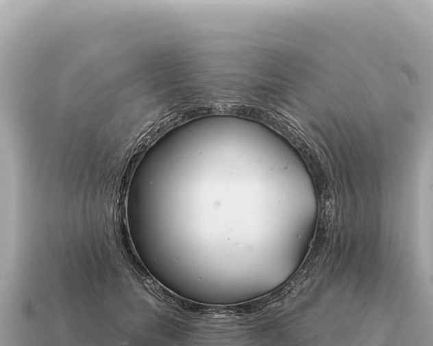 X0000115140750200911101707