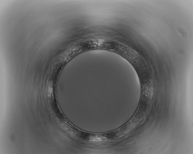 X0000115140754200911101707