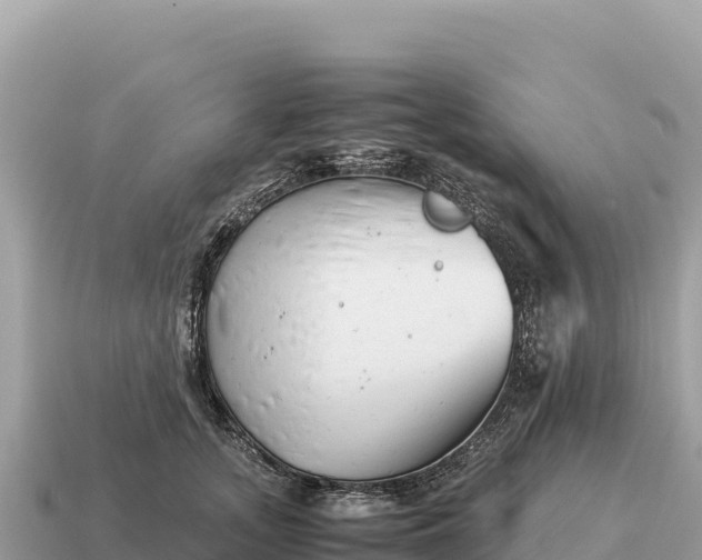 X0000115140755200911101707