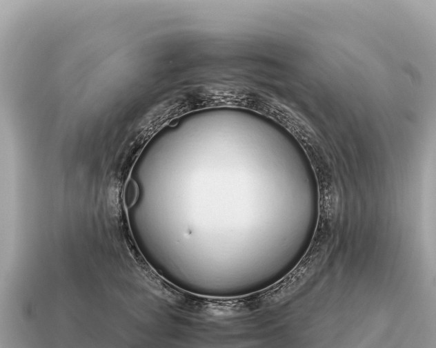 X0000115140757200911101707