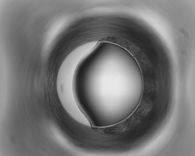 X0000115140766200911101707